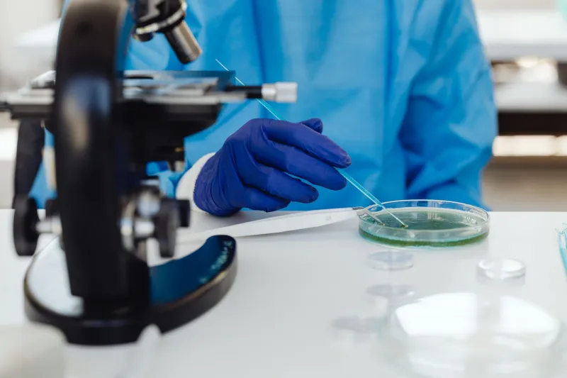 Scientists Actually Put the Five-Second Rule to the Test — And the Results Will Surprise You